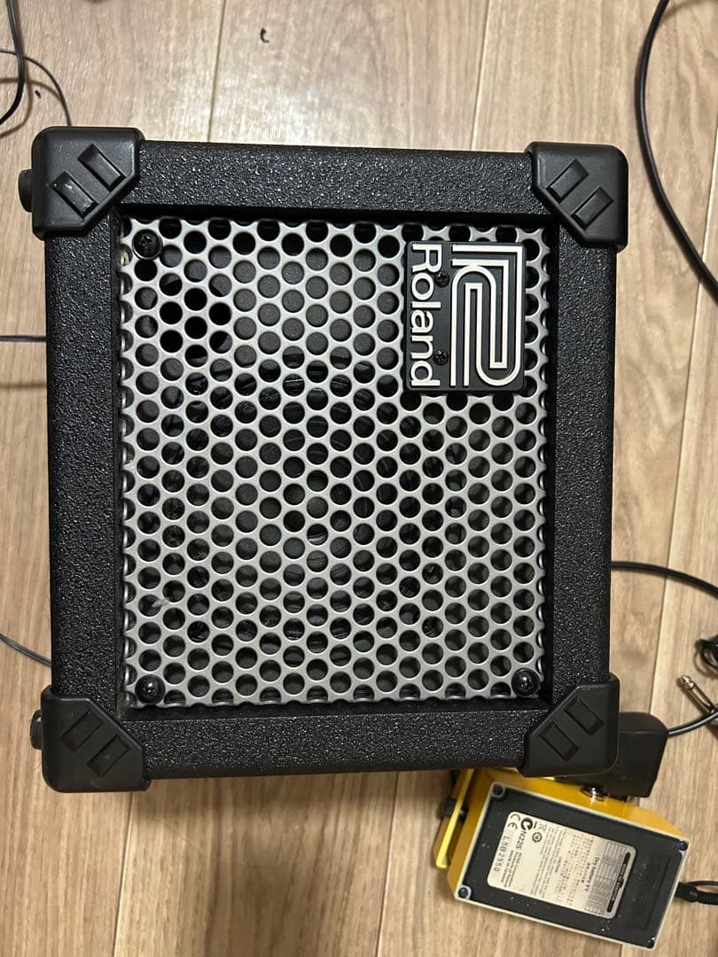 roland micro