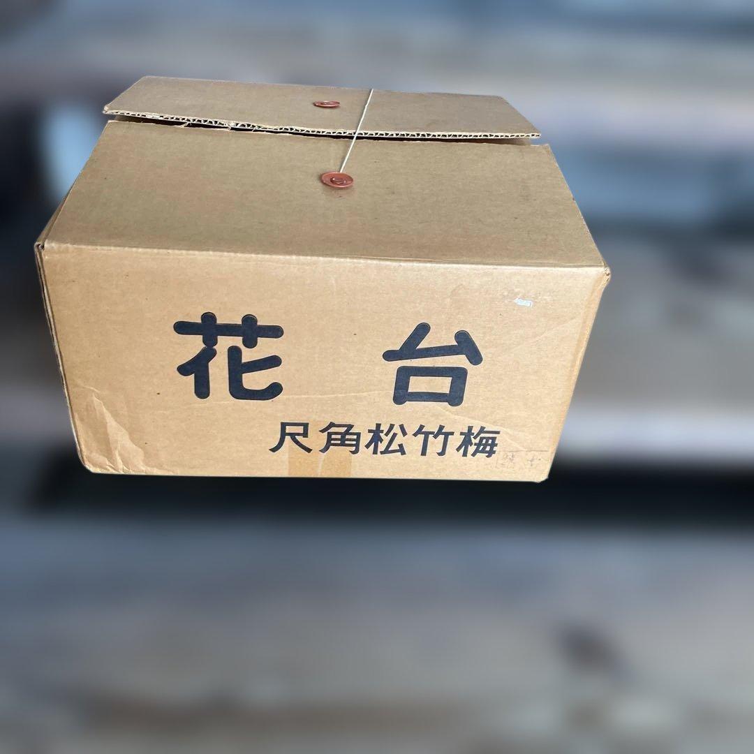 【New, Unused】Antique Art Karaki 1 Shaku (approx. 30cm) Stand with Pine, Bamboo, and Plum Motif - For Bonsai, Flower Vases, or Incense Burners