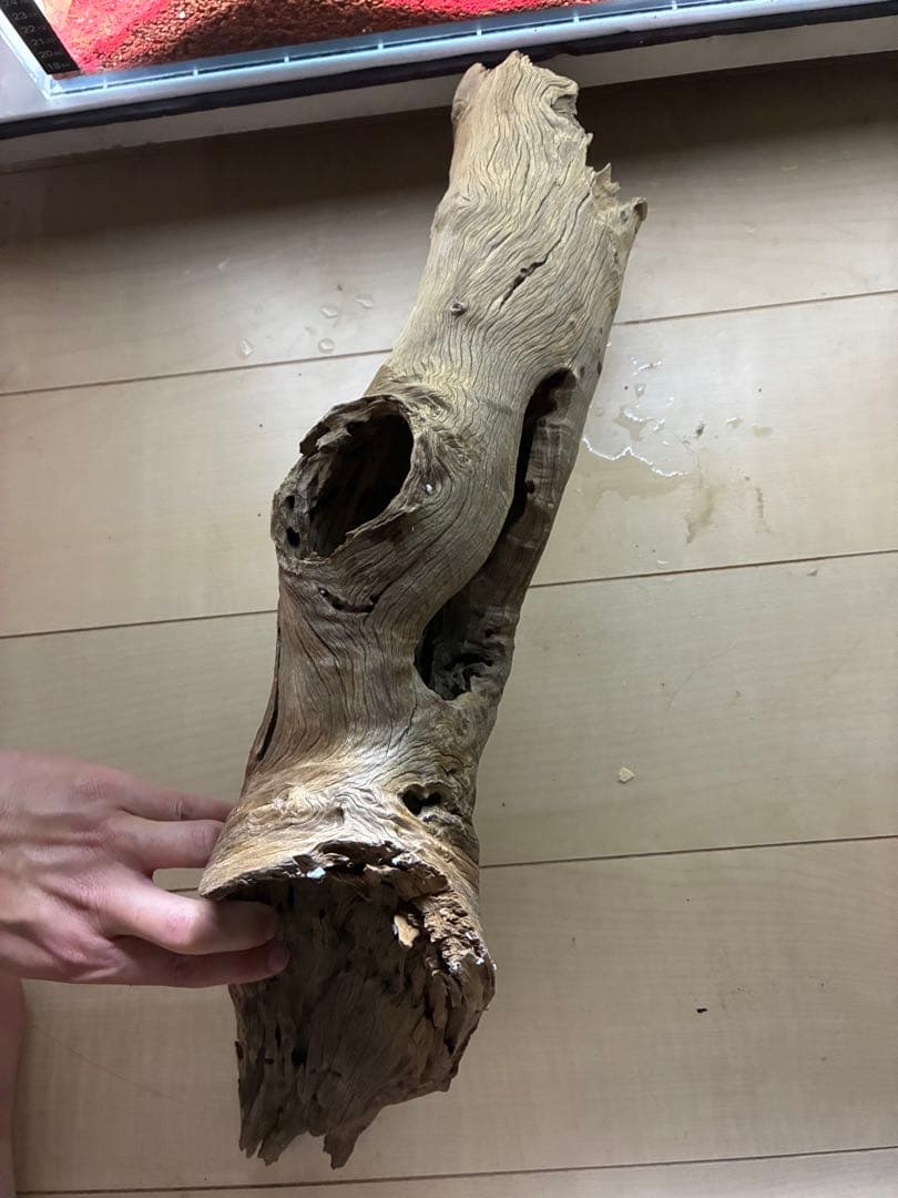 driftwood aquariums