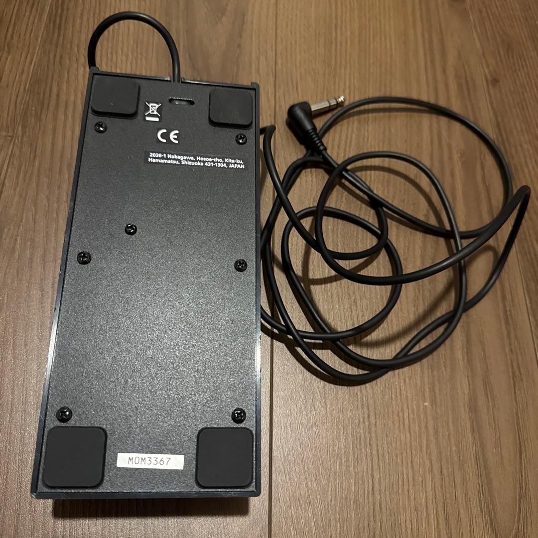 brand ev pedal