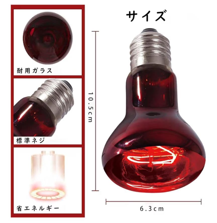 terrarium <br>the