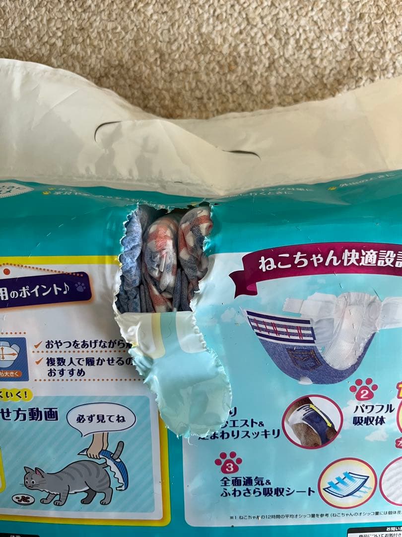 cat diapers