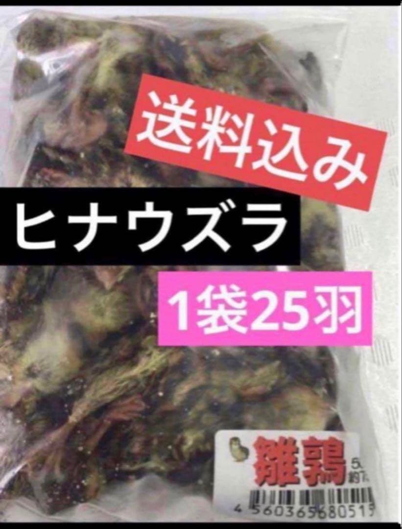 Frozen Quail Chicks - 1 bag (25 chicks) - Frozen Feed - For Birds of Prey and Reptiles - Additional quantities available