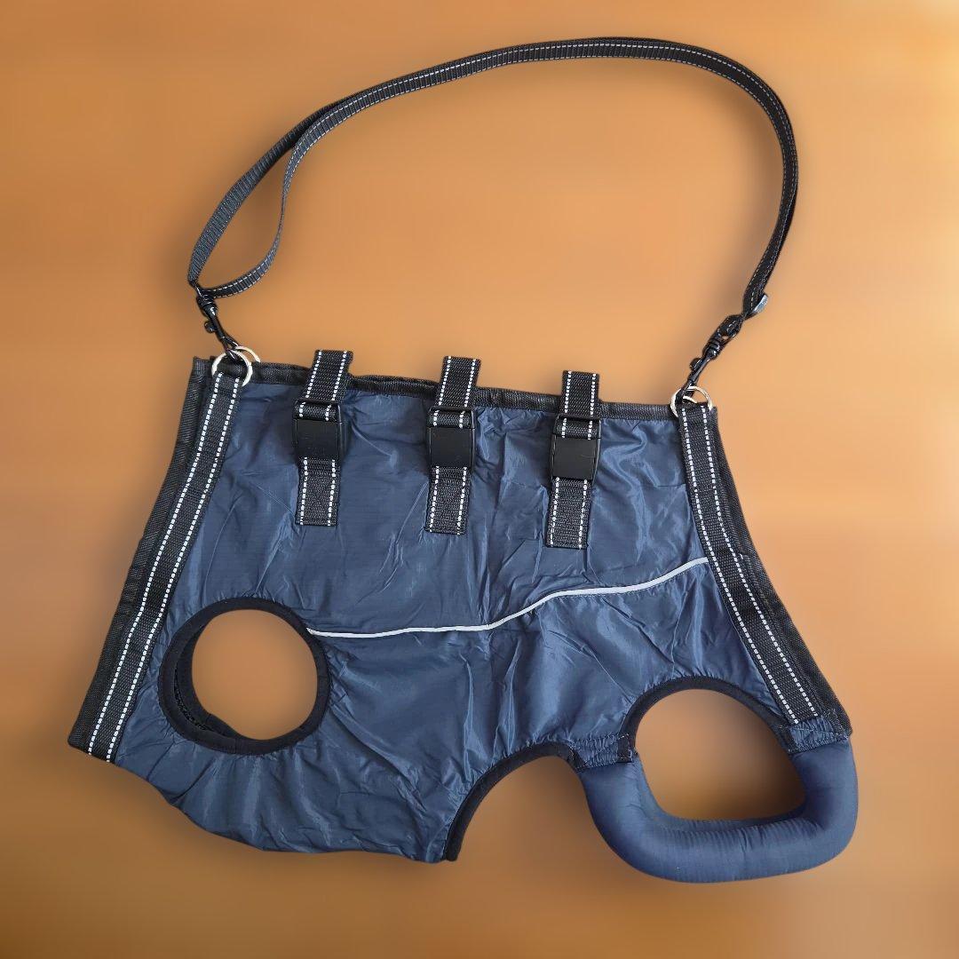Dog Harness for Support and Walking, Size L, Blue