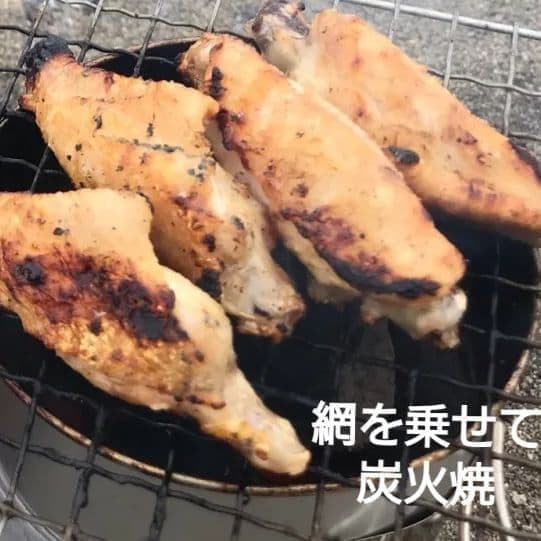charcoal <br>compact type