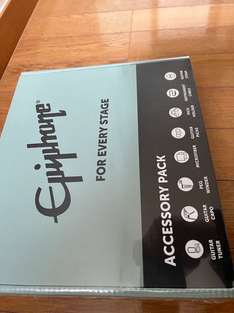 this epiphone