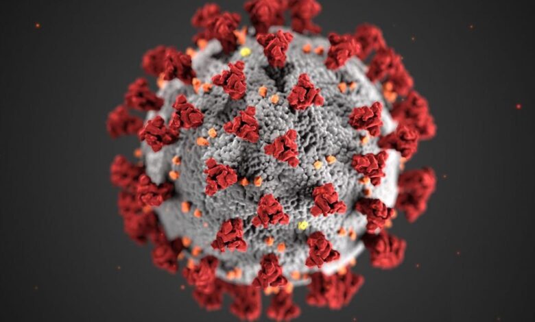 Pandemia de coronavírus no Brasil pode ter fim apenas em novembro, diz estudo