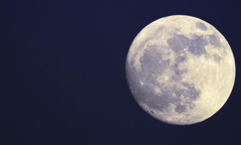 Entrada de Lua em Peixes trará benefício a alguns signos