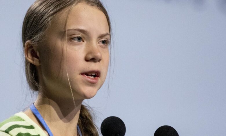 Greta Thunberg repercute fala de Salles: ‘nosso futuro é apenas um jogo para eles’