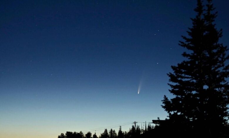 Passagem do cometa Neowise pelo Brasil poderá ser vista até o fim de julho