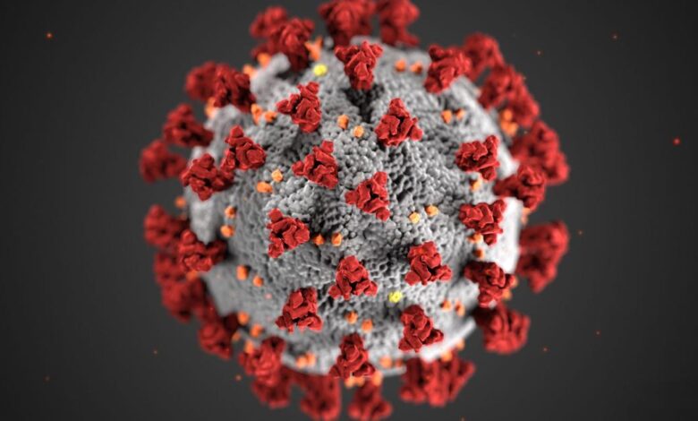 Cientista suíço diz que Brasil, EUA e México são ameaças mundiais na pandemia de covid-19