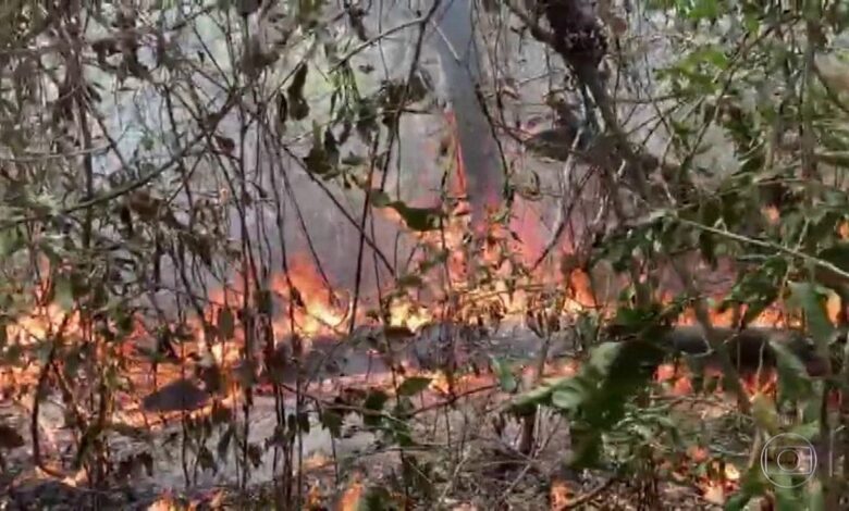 Pantanal de Mato Grosso atinge o maior número de focos de calor em dez anos