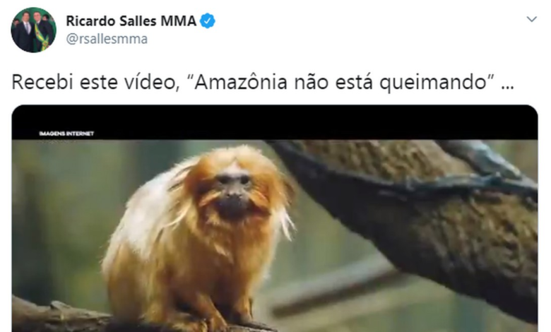 Salles compartilha vídeo negando fogo na Amazônia com imagens da Mata Atlântica