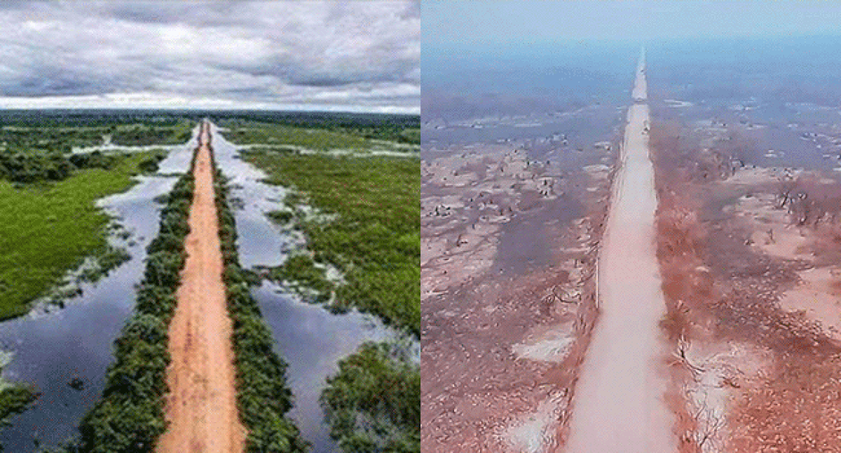 FOTOS: Rodovia Transpantareira antes e depois dos incêndios no Pantanal