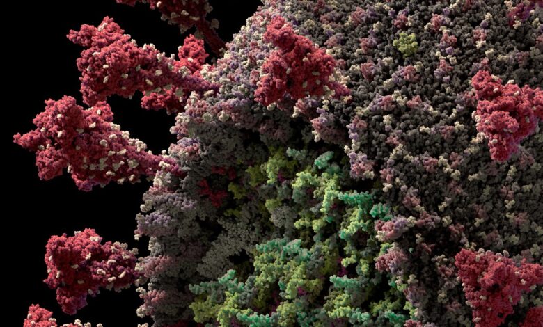 Estudo da USP que aponta reinfecção por coronavírus em SP é publicado em revista científica