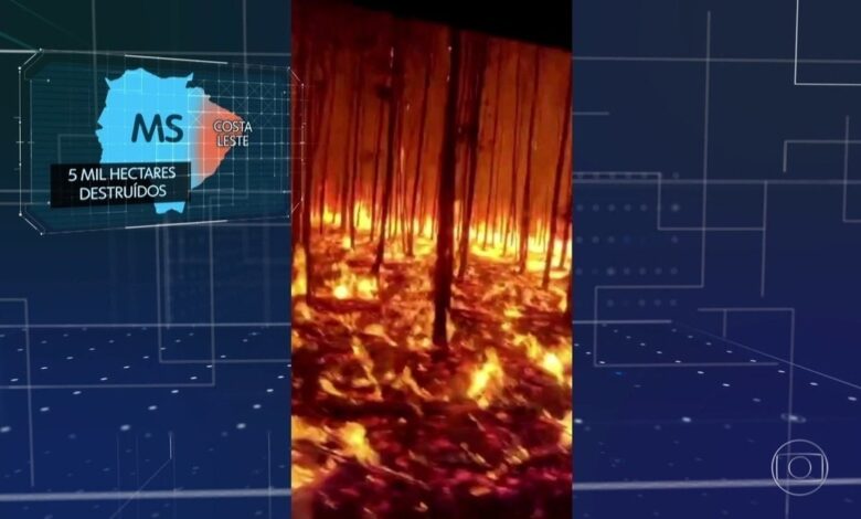 Queimadas avançam sobre parques nacionais brasileiros