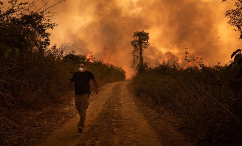Fotógrafos e documentaristas relatam tensão e destruição na linha de frente das chamas no Pantanal