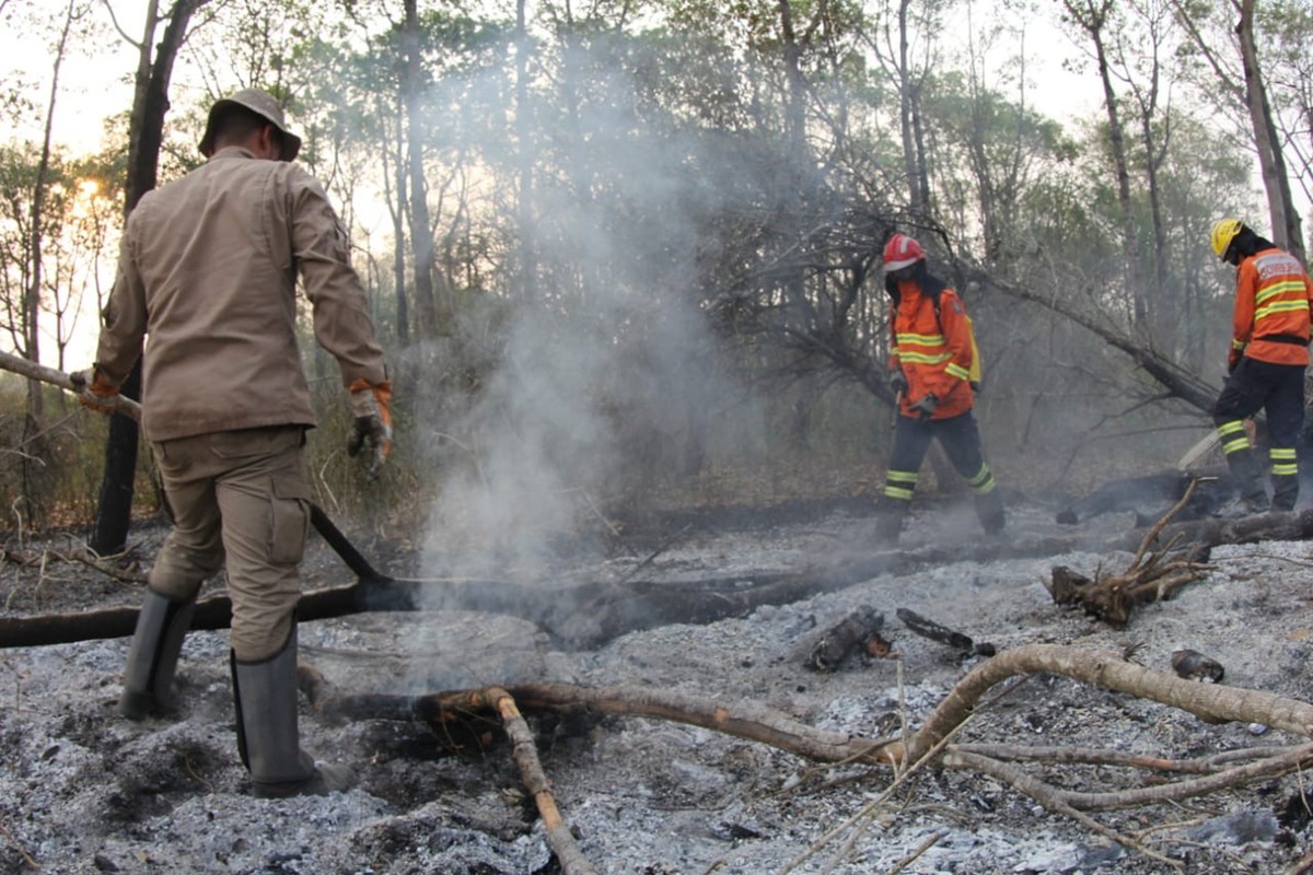 Fogo que destruiu 25 mil hectares no Pantanal de MS começou em grandes fazendas, aponta investigação da PF