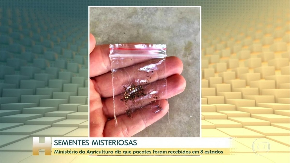 Ministério da Agricultura registra 36 casos de sementes misteriosas recebidas após compras pela internet